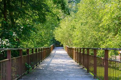 photo 6749b2b49e1dc_thumb.jpg