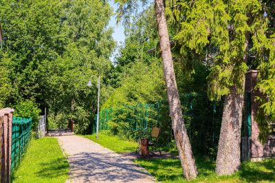 photo 6749b2b5b3929_thumb.jpg