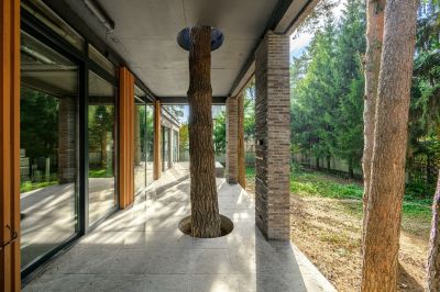 photo 675049c1e914a_thumb.jpg