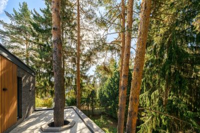 photo 675049c4117cc_thumb.jpg