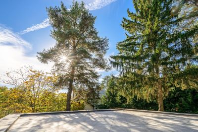 photo 675049c776d6b_thumb.jpg