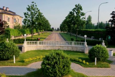 photo 6769260cd1a23_thumb.jpg