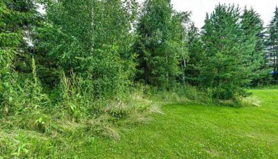 photo 676e76f3f1377_thumb.jpg