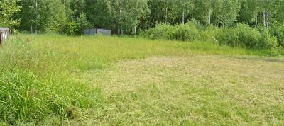 photo 676e76f490195_thumb.jpg