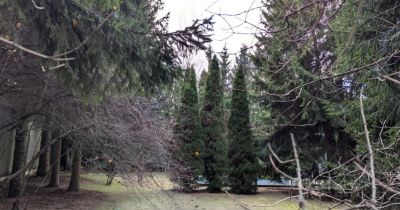 photo 676e71ee2d133_thumb.jpg