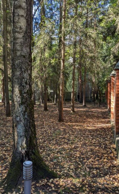 photo 676e71eeae8c3_thumb.jpg