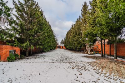 photo 67a9c1083212f_thumb.jpg