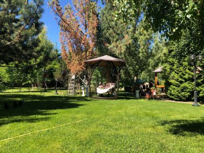 photo 677e9665239c0_thumb.jpg