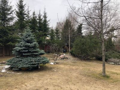 photo 677e96669bcba_thumb.jpg