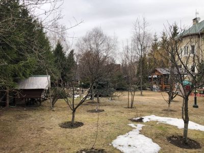 photo 677e969f02681_thumb.jpg