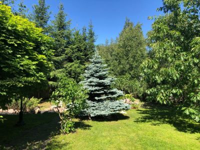 photo 677e96a1526b8_thumb.jpg