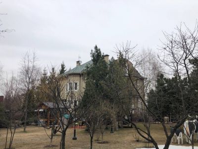 photo 677e96a2f300a_thumb.jpg