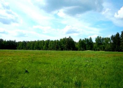 photo 67ab0090d8e99_thumb.jpg