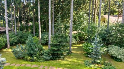 photo 6788d0ed0cf78_thumb.jpg