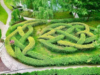 photo 67923b996f4fe_thumb.jpg