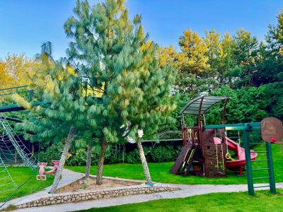 photo 6792457bbb5fc_thumb.jpg