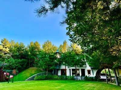 photo 6792457e171da_thumb.jpg