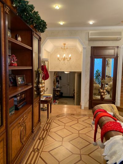 photo 67a267bb0a0eb_thumb.jpg