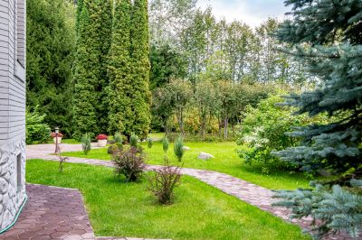 photo 68ac1cab642ae_thumb.jpg