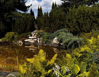 photo 679bd058594b8_thumb.jpg