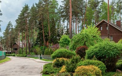 photo 679b8343aff72_thumb.jpg