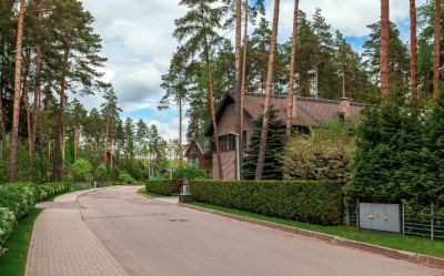 photo 679b834447dc6_thumb.jpg