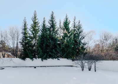 photo 67bf20b3b9781_thumb.jpg