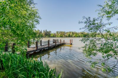 photo 68340d5ed03ef_thumb.jpg