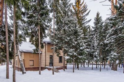 photo 11924_63bec4e493ccb_thumb.jpg