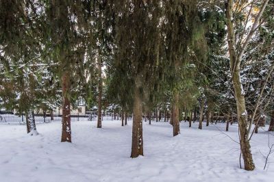 photo 11924_63bec4e53bfe4_thumb.jpg