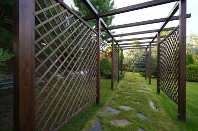 photo 67cac93d2e13a_thumb.jpg