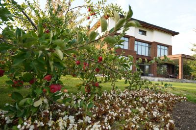 photo 67cacb1a60954_thumb.jpg