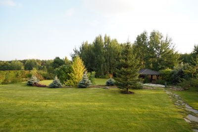 photo 67cacb892a3a3_thumb.jpg