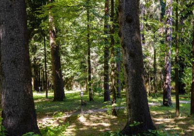 photo 67c80f3293d71_thumb.jpg