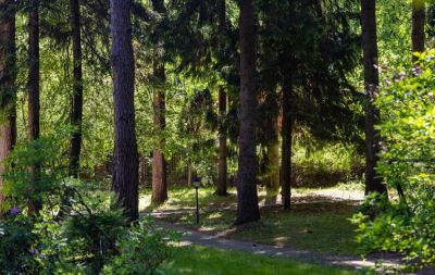 photo 67c80f3345536_thumb.jpg