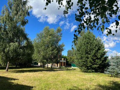 photo 11935_67bf2db3e81d8_thumb.jpg