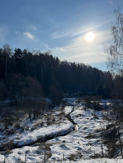 photo 11935_67bf2dd1c47a5_thumb.jpg