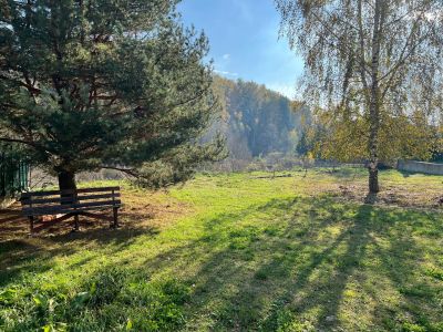 photo 11935_67bf2dd477707_thumb.jpg