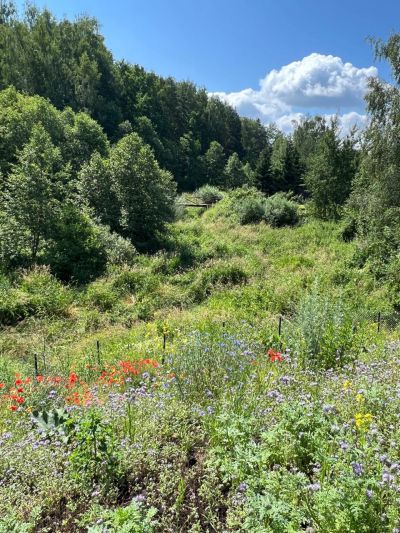 photo 11935_67bf2dd555280_thumb.jpg