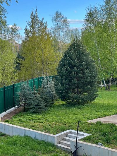 photo 11935_67bf2dd606460_thumb.jpg