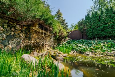 photo 68340a8b1a249_thumb.jpg