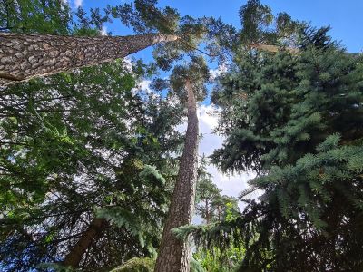 photo 11939_66741f716e25b_thumb.jpg