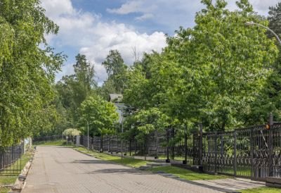 photo 67c837d83da8e_thumb.jpg