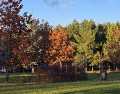 photo 67cff1f9d064b_thumb.jpg