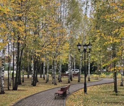 photo 67cff1fa2dd6a_thumb.jpg