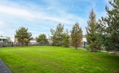 photo 67d17080ccb95_thumb.jpg