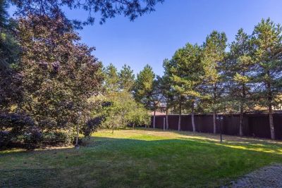 photo 67dbfe9bbf545_thumb.jpg