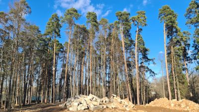 photo 67dc1c7246d98_thumb.jpg