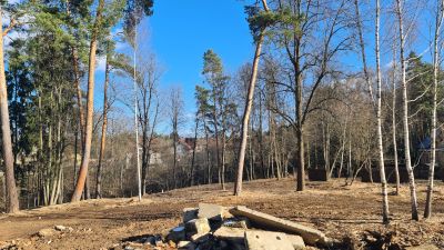 photo 67dc1c76e051e_thumb.jpg