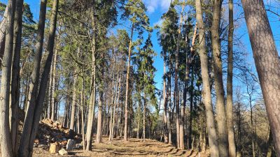 photo 67dc1c7b768d1_thumb.jpg